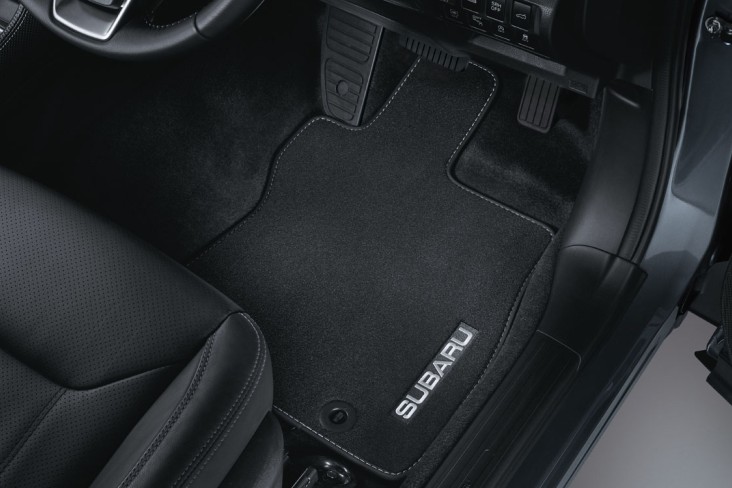 Carpet Mat Set