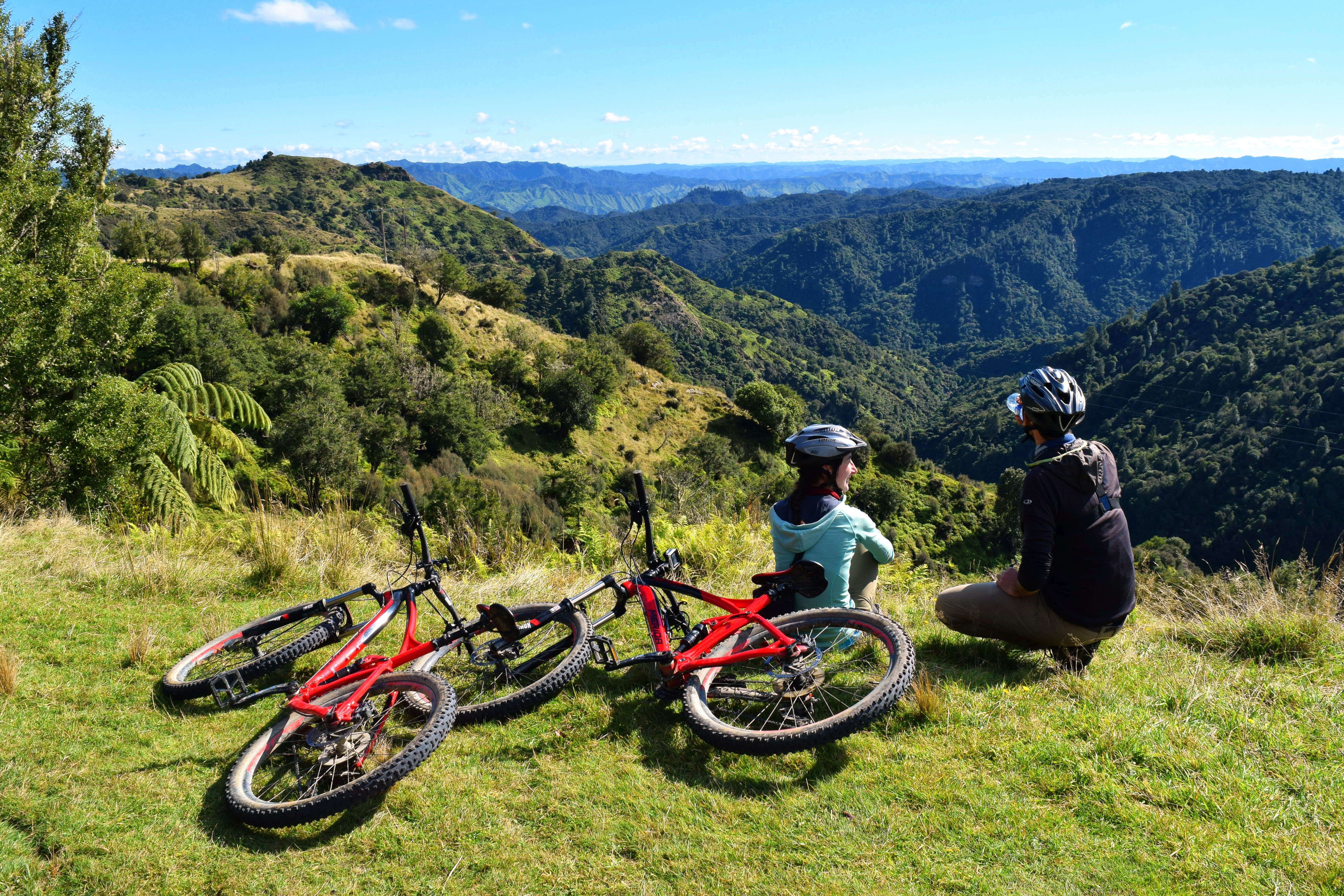 Fishers Track is suited for intermediate riders. Photo Credit: Backpackerguide.nz