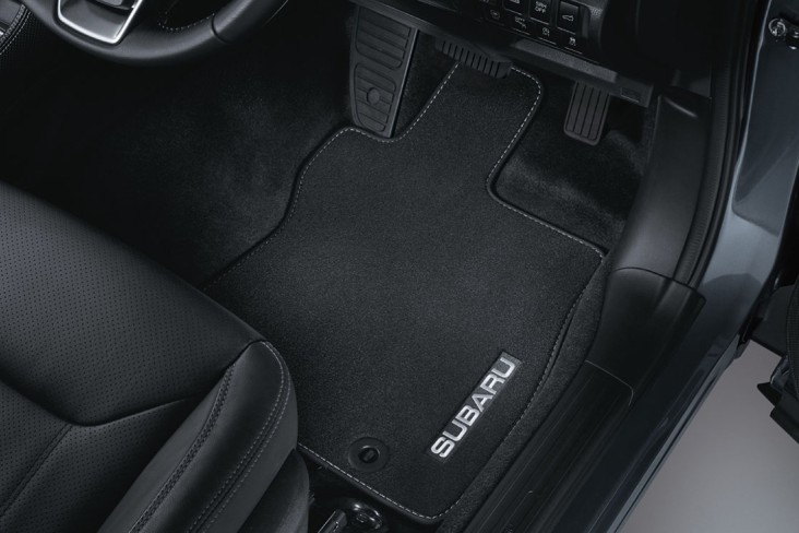 Carpet Mat Set