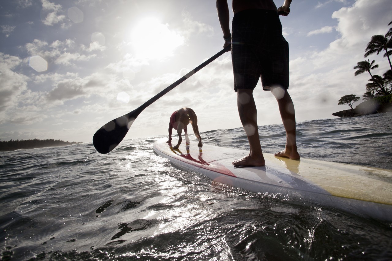 Subaru do paddling boarding Subaru do paddling boarding