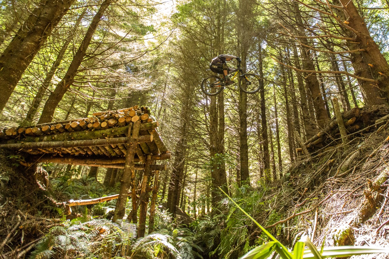 The Pines track is for advanced riders to test their skills. Photo Credit: plateauproductions The Pines track is for advanced riders to test their skills. Photo Credit: plateauproductions