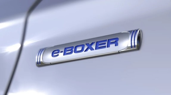 eboxer badge