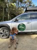 Market research has revealed that nearly three-quarters of our Subaru vehicle drivers own dogs.